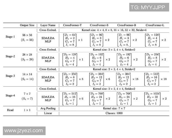 西安网球队的整体压制策略与技术分析深度探讨
