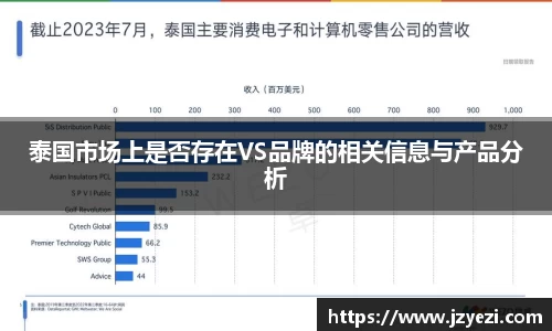 泰国市场上是否存在VS品牌的相关信息与产品分析